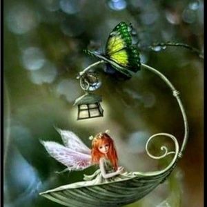 Like to be Notified of my next show. A little bit of Everything